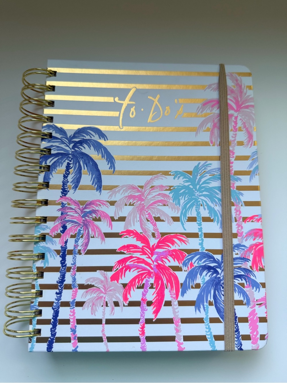 Lilly Pulitzer Pink & Blue Palm Gold-Striped To-Do Notebook New W/O Tags 316 Pgs